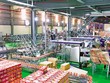 Dây chuyền sản xuất tại CTCP Sữa Quốc tế. Ảnh: S.T