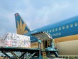 Vietnam Airlines vận chuyển một lô vải xuất khẩu sang châu Âu.