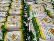 Gạo xuất khẩu của Công ty TNHH Lương thực Phương Đông. Ảnh Công ty