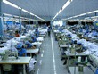 TP.HCM: Nợ thuế, nhiều doanh nghiệp bị dừng ngưng hóa đơn, dừng thủ tục xuất hàng