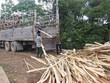 Cơ quan của Quốc hội báo cáo gì về vụ doanh nghiệp kêu cứu vì chậm hoàn thuế