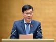 Chủ nhiệm Ủy ban Kinh tế Vũ Hồng Thanh.