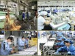 Thực hiện nghiêm kế hoạch sắp xếp lại, cổ phần hóa, thoái vốn nhà nước