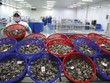 Hai thị trường xuất khẩu lớn nhất của ngành thủy sản Việt Nam là Mỹ và Trung Quốc