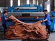 Công nhân làm việc tại nhà máy thuộc da của Công ty Serendipity Bros - 100% vốn đầu tư Argentina tại TP.Tân Uyên, tỉnh Bình Dương - Ảnh: Lê Toàn