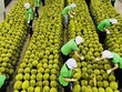 Nông nghiệp tiếp tục là bệ đỡ cho nền kinh tế trong năm 2023