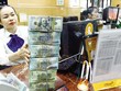 Tỷ giá được dự báo chỉ tăng 1,5-2,5% trong năm 2024. Ảnh: Đức Thanh