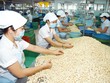 Doanh nghiệp xuất khẩu hạt tiêu, điều của Việt Nam lưu ý khi giao dịch với đối tác Tây Ban Nha.