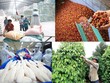 Xuất khẩu nông lâm thủy sản khởi sắc ngay trong tháng đầu năm 2024