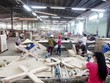 Ngành gỗ ghi nhận tín hiệu khả quan đầu năm mới