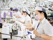 Trong bối cảnh kinh doanh nhiều biến động như hiện nay, việc sản xuất và xuất khẩu của các doanh nghiệp cần hết sức linh hoạt