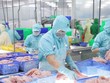 Xuất khẩu thủy sản sang Mỹ và Trung Quốc đang tăng trở lại.