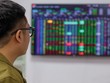 Nỗ lực thiết lập vùng cân bằng
