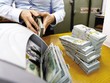 “Chóng mặt” vì biến động tỷ giá