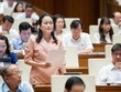 Đại biểu Trần Thị Hoa Ry (Bạc Liêu) phát biểu tại phiên thảo luận. (Ảnh:Quochoi.vn)