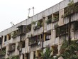 Nhà nước sẽ đứng ra cải tạo, xây dựng lại chung cư cũ