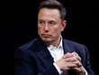 Elon Musk là tỷ phú mất nhiều tiền nhất nửa đầu 2024.