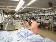 Công ty CP Dệt May Nam Định hiện đã đủ đơn hàng xuất khẩu cho năm 2024.