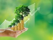 Tài chính xanh tăng trưởng mạnh mẽ, vẫn cần thêm các chính sách thúc đẩy