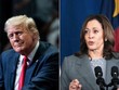 Bầu cử Mỹ 2024 hứa hẹn cuộc đua sít sao giữa ông Donald Trump và bà Kamala Harris. Ảnh: NYTimes, AFP