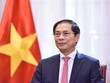Bộ trưởng Bộ Ngoại giao Bùi Thanh Sơn. Ảnh: BNG