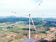 Hiện không có giá mua điện cố định (giá FIT) cho điện gió như các giai đoạn trước. Ảnh: Đức Thanh