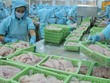 Hoạt động xuất khẩu cá tra phục hồi, nhưng giá chưa tăng