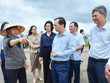 Lãnh đạo Ngân hàng Nhà nước, Agribank tìm hiểu về thiệt hại của hộ nuôi trồng thủy sản tại xã Tân An, Quảng Yên, Quảng Ninh