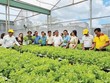 Việc hỗ trợ doanh nghiệp nhỏ và vừa trong lĩnh vực nông nghiệp năm 2024 sẽ tiếp thêm động lực, cơ hội phát triển, mở rộng thị trường cho các doanh nghiệp trong lĩnh vực này.