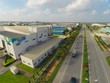Cách nào thu hút doanh nghiệp về khu công nghiệp dược TP.HCM