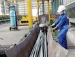 Nhu cầu nội địa được kỳ vọng sẽ thúc đẩy đà tăng trưởng của doanh nghiệp ngành thép