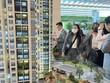 Môi giới bất động sản ngày càng “tất bật”