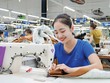 Một số doanh nghiệp dệt may bắt đầu sử dụng điện mặt trời mái nhà để giảm chi phí điện