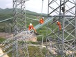Dự án đường dây 500 kV mạch 3 từ Quảng Bình đến Phố Nối đã vận dụng đấu thầu trước, rút ngắn thời gian thực hiện dự án từ 6 - 8 tháng.