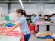Đơn hàng về nhiều, các nhà máy của May Sông Hồng đang chạy hết công suất