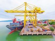 Mỗi năm lượng hàng hóa được vận chuyển qua Đà Nẵng tăng 10 - 20% (Ảnh: Cảng Đà Nẵng)