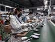 Số lượng đơn đặt hàng mới trong tháng 11/2024 tăng chậm lại do xuất khẩu giảm.