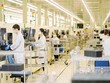 Không chỉ cần chiến lược bài bản, Việt Nam còn cần có các cơ chế đột phá, vượt trội để thu hút đầu tư. Ảnh: Đức Thanh