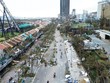 Siêu bão Yagi tăng thêm phần “sóng gió” cho thị trường bảo hiểm Việt Nam trong năm qua