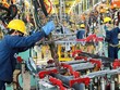 Sản xuất công nghiệp phục hồi đã tác động tích cực tới tăng trưởng kinh tế 2024