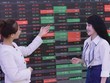 Nâng hạng là một trong những chủ điểm chính của thị trường chứng khoán năm nay