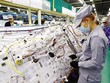 Kinh tế 2025: Tăng tốc để bứt phá, tạo đà hiện thực hóa mục tiêu tăng trưởng 2 con số