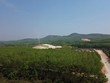 Kon Tum bãi bỏ quyết định thành lập Cụm công nghiệp huyện Kon Plông