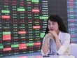 Đặt ra giới hạn chịu lỗ và dứt khoát cắt lỗ khi chạm ngưỡng rủi ro là bài học nhà đầu tư nào cũng cần rèn luyện
