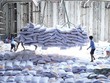 Bộ Công thương đang lấy ý kiến Dự thảo Thông tư về kinh doanh xuất khẩu gạo. 