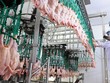 Sản phẩm thịt gà của Việt Nam sắp được xuất khẩu chính ngạch sang Singapore.