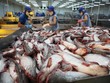 Thủy sản có cơ hội gia tăng xuất khẩu trong năm 2025