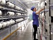 Đầu tư vào lĩnh vực sản xuất sợi, vải phải đáp ứng nhiều tiêu chuẩn khắt khe về bảo vệ môi trường. Trong ảnh: Sản xuất tại Công ty cổ phần Sợi Thế Kỷ
