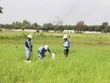 Cắm mốc để chuẩn bị giải phóng mặt bằng Dự án đường cao tốc TP.HCM - Mộc Bài - Ảnh: Lê Anh