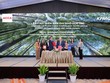 ACCA và KPMG mở lối tiên phong cho doanh nghiệp trên hành trình phát triển bền vững